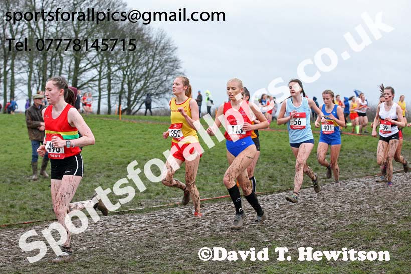 Senior girls 2019 New Balance English Schools Cross Country Champs, Temple Newsam, Leeds. Photo:  David T. Hewitson/Sports for All Pics